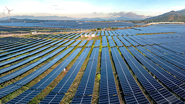 Sustainability